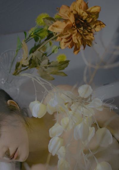 www.秋霞_BD动漫在线观看